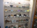 Museum Case