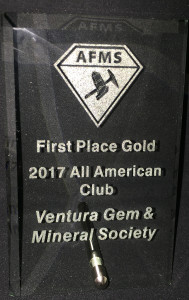 AFMSAllAmericanClubTrophy