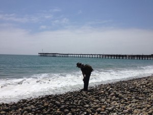 Beach collecting for fossil whale bone, jaspers and calcite.